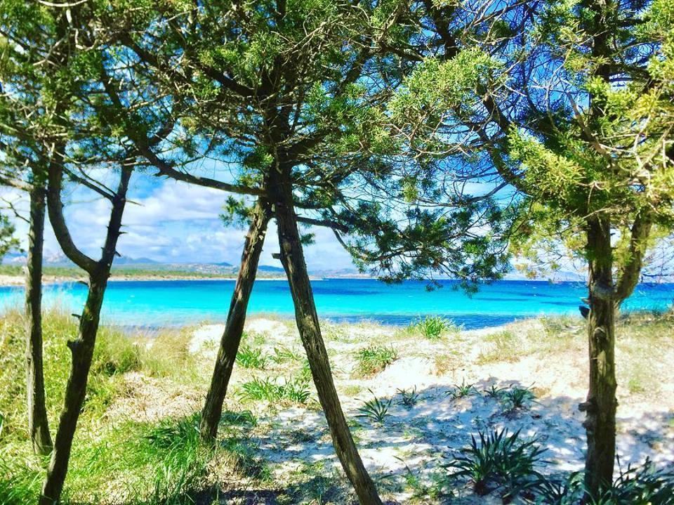 Casavacanza Golfo Aranci Exterior foto